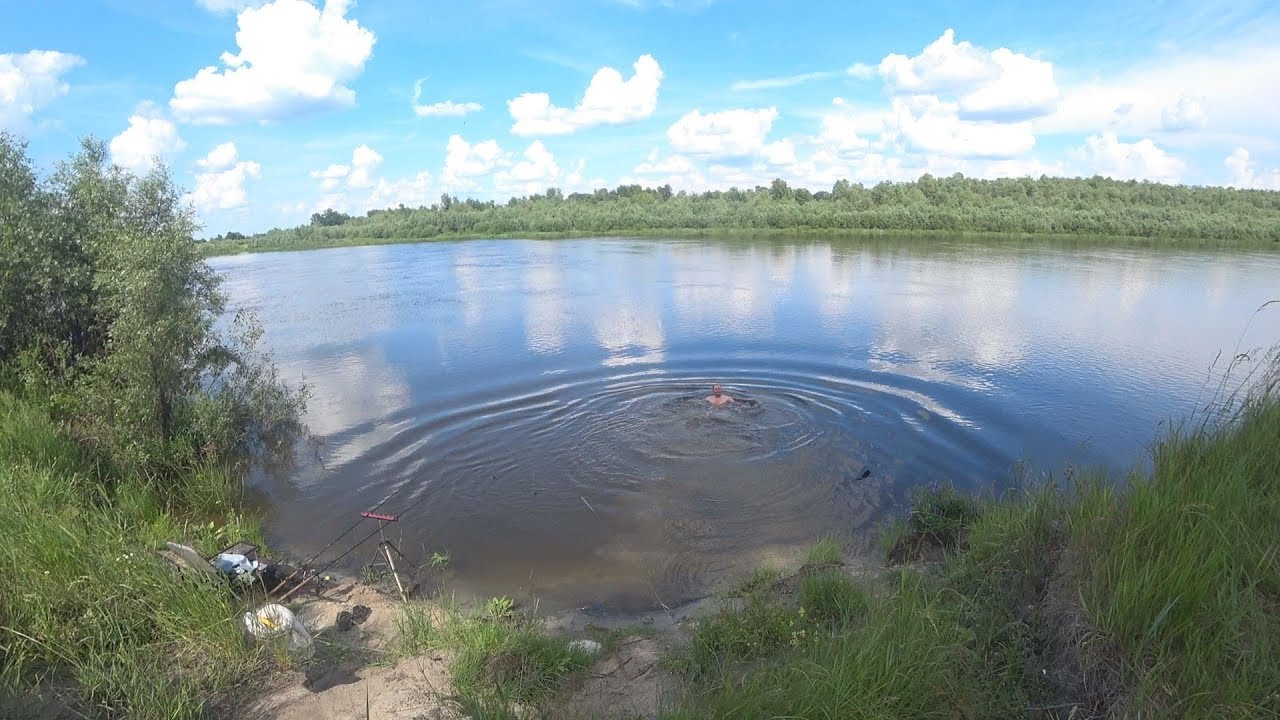 Рибалка на дикій Десні за 100 кілометрів від Києва. Сом, лящ, густера.