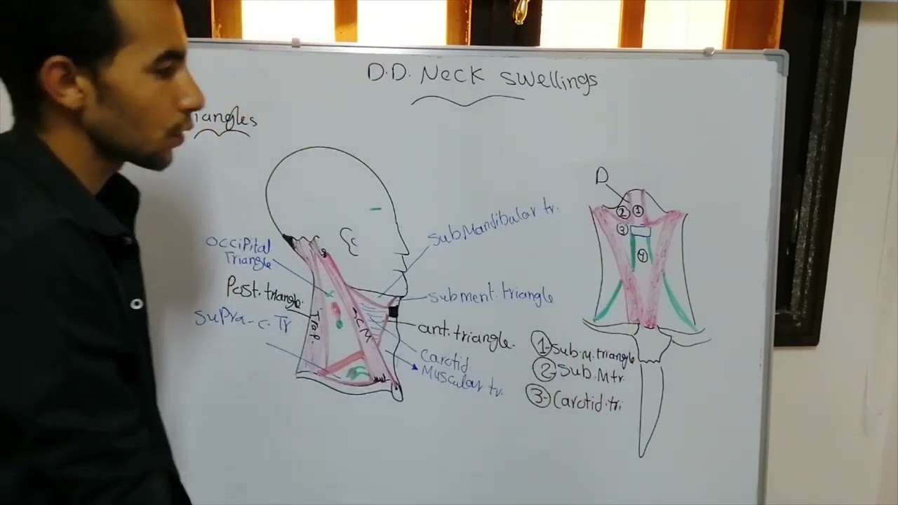 Neck Swellings - Ibrahim Antar