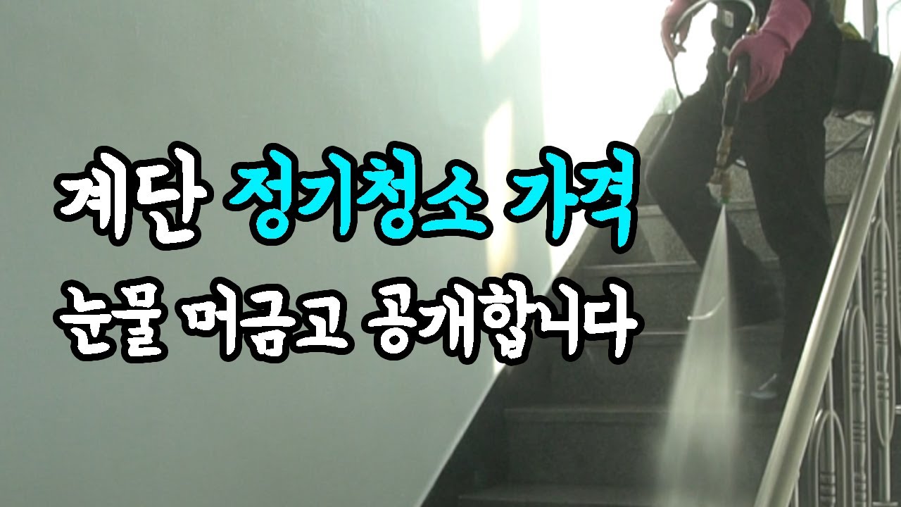 빌라 계단청소 수익은 얼마나될까? l 정기청소 Ep.1