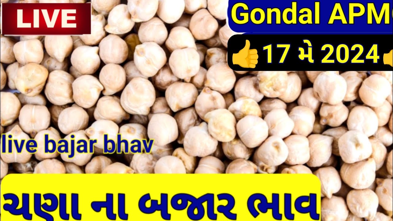 નવા ચણાના બજાર ભાવ / ચણાના આજના બજાર ભાવ / ગોંડલ ચણાના ભાવ /Gondal marketing yard