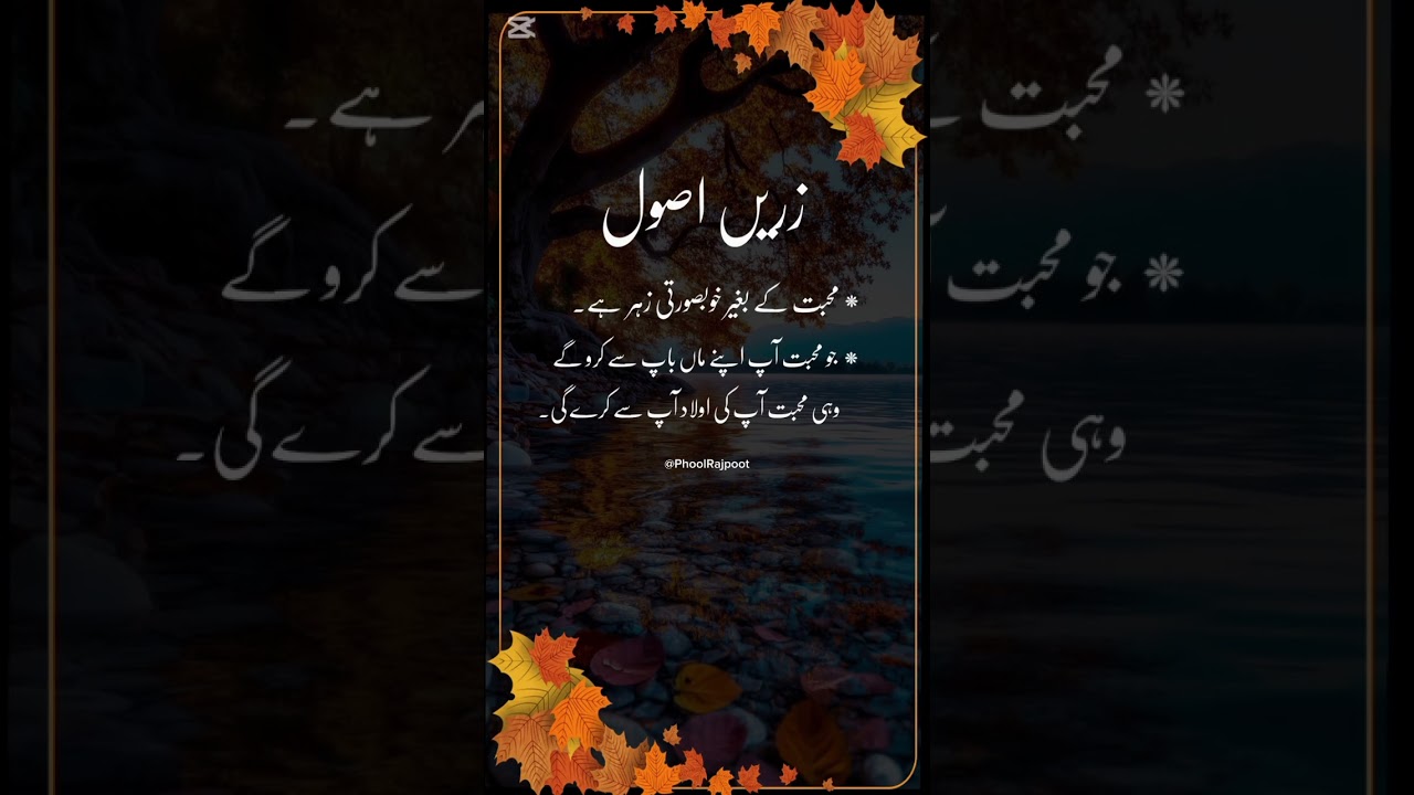 Islamic true lines amazing lines short Islamic video 2024 Islamic video