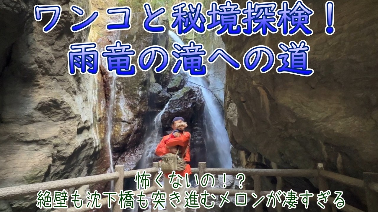 【犬旅高知】 四国旅～雨竜の滝～  AI Gemini君の忠告を守って大正解！