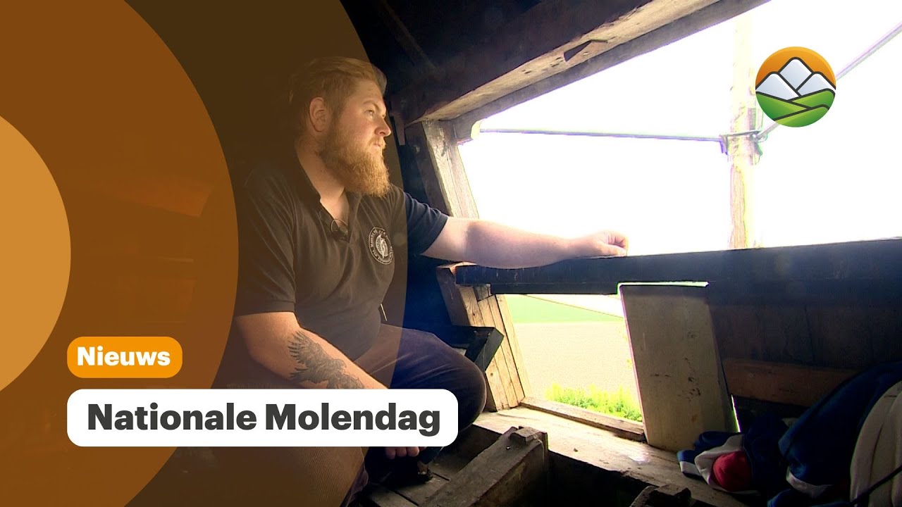 Molens draaien op volle toeren tijdens Nationale Molendag in het Heuvelland