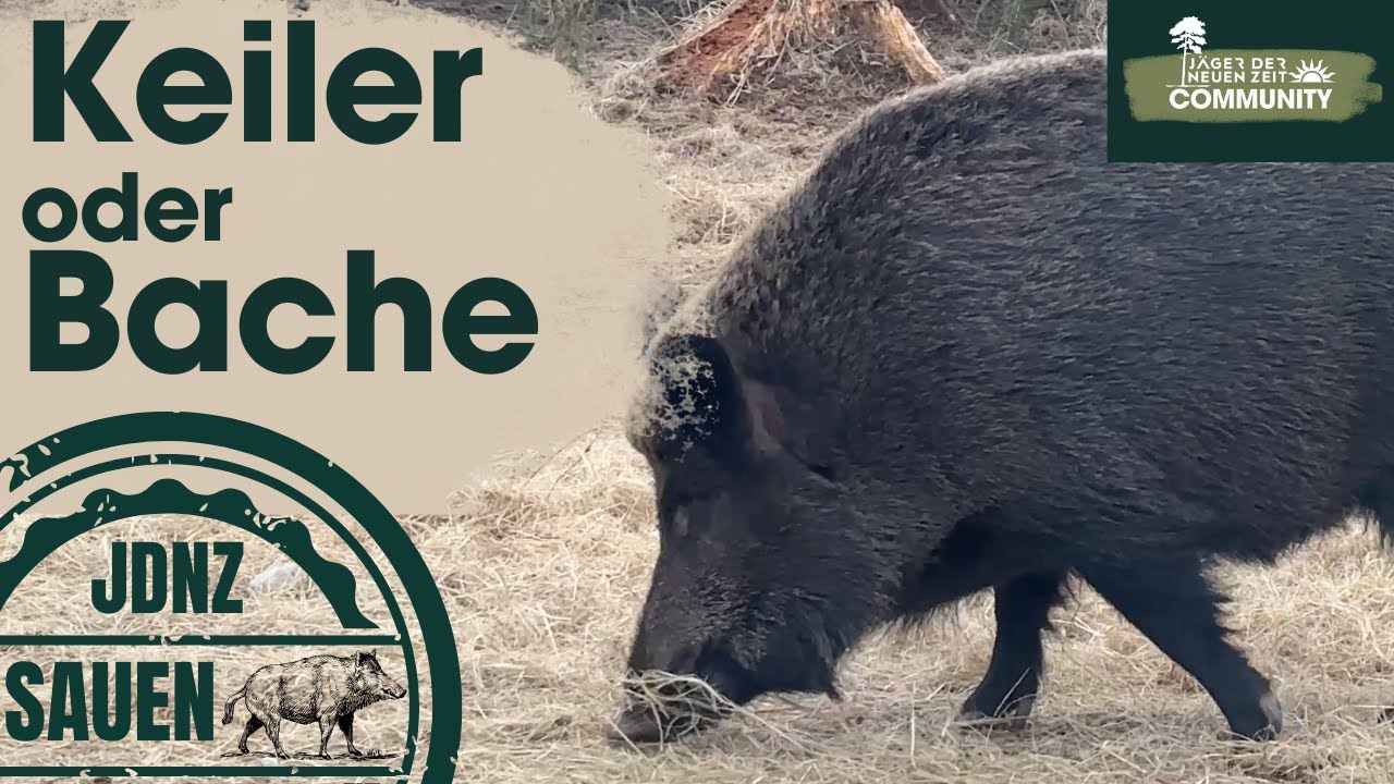 Das RISIKO ist HOCH! Warum Du diesen katastrophalen Ansprachefehler unbedingt vermeiden musst.