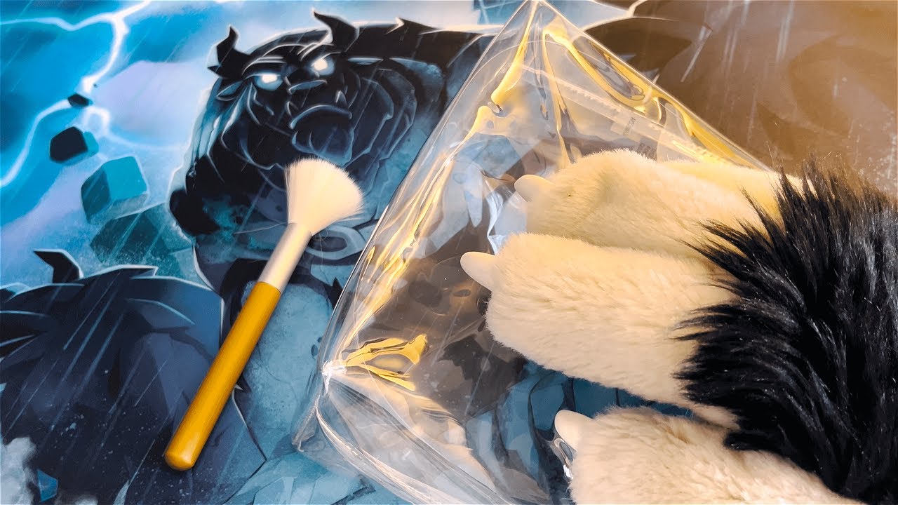 Furry ASMR Tapping, Brushing, & Motivational Words (soft spoken, binaural)