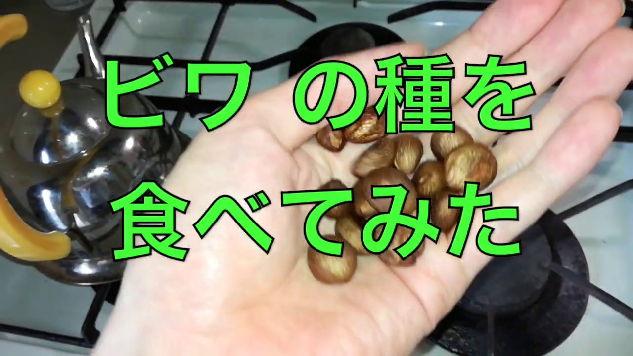 【料理】ビワの種を食べる【毒殺】