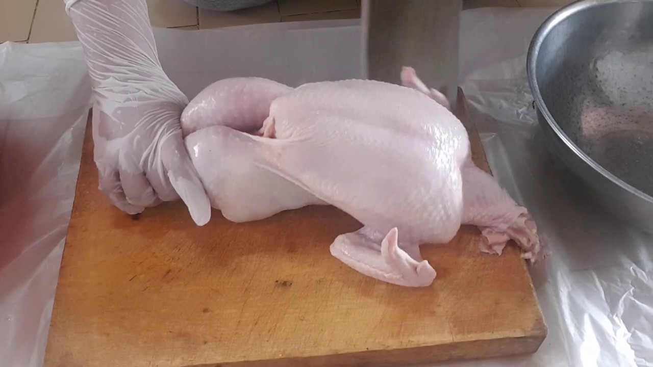 Tutorial Dan Cara Memotong Ayam || Dari 4 Hingga 20 Bahagian