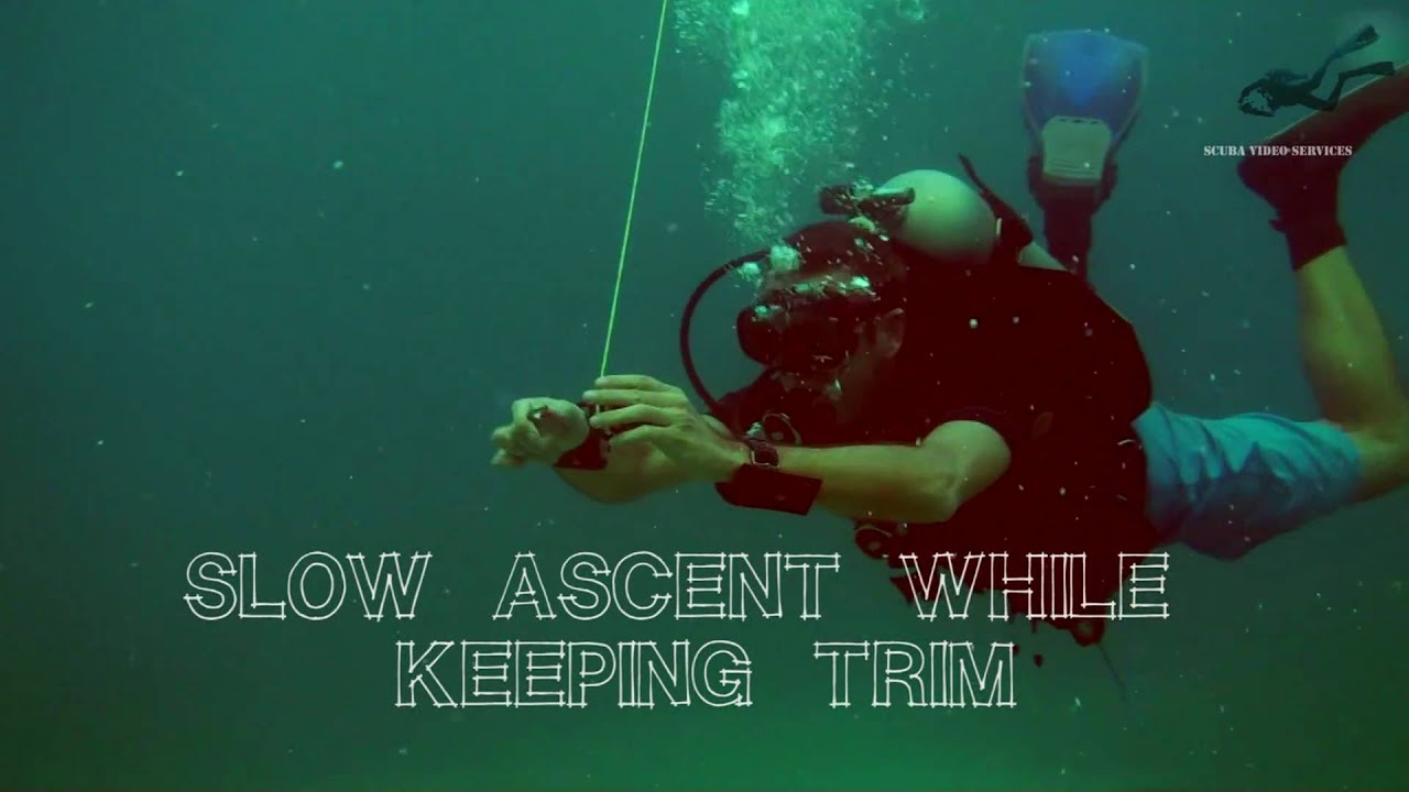 Scuba Diving Surface Marker Buoy Deploy