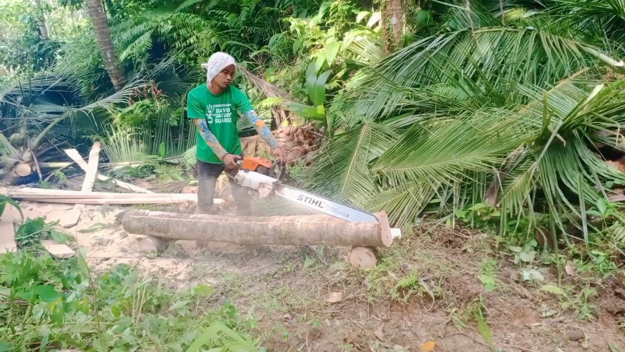 Cocolumber Cut & Slice by 2x6x8