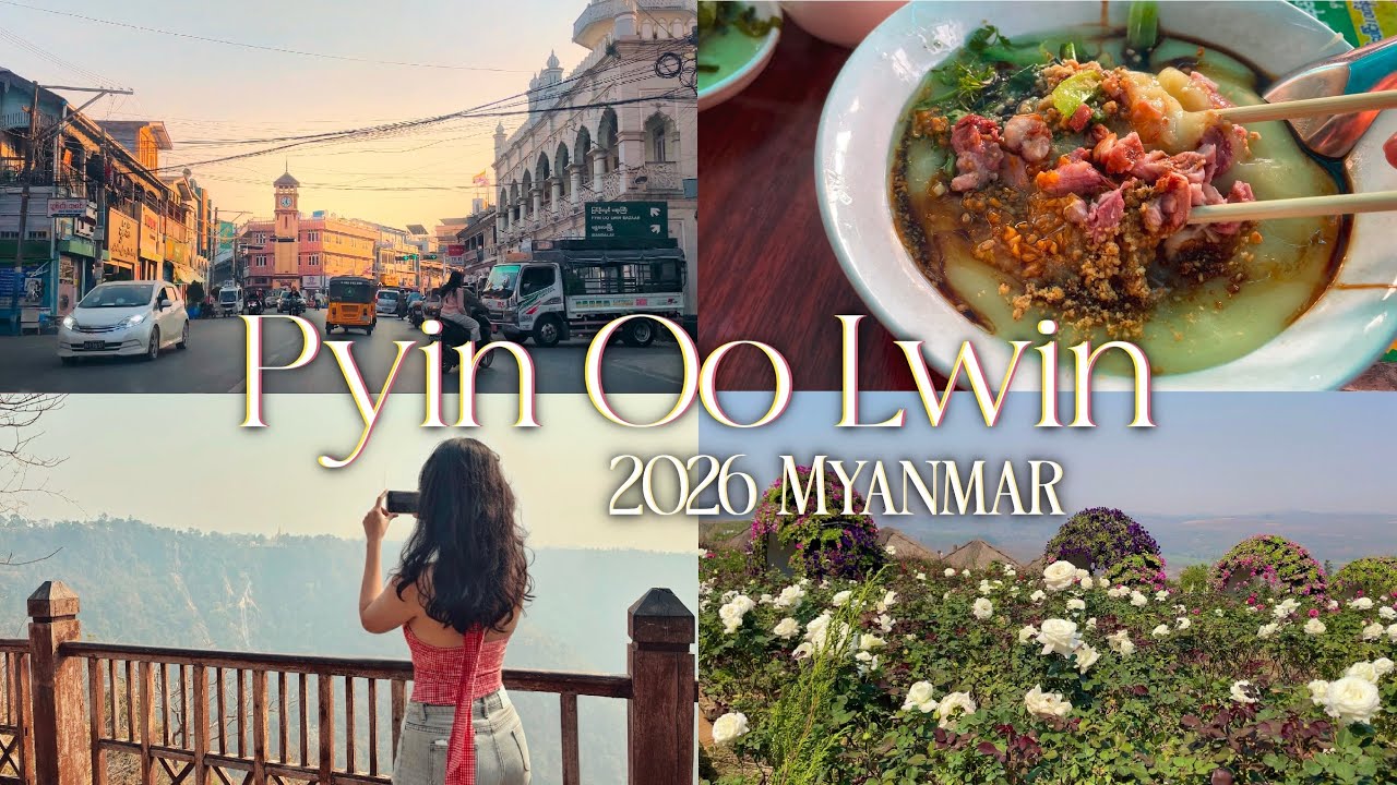 The City of Flowers, Food, & Fun 🌸 Travel Diary