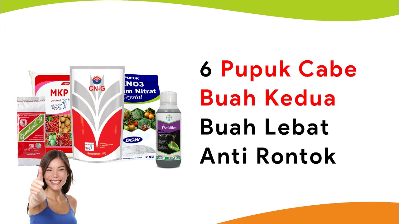 6 Pupuk Cabe Buah Kedua, Buah Tetap Lebat Hasil Berlipat,Tanpa Rontok