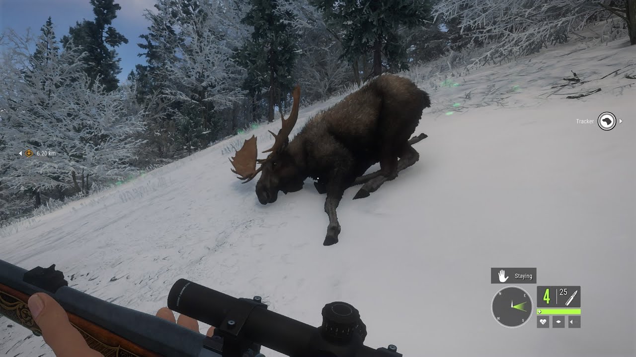 Hunter Call of the Wild ASKIY RIDGE Hunting Reserve Grey Wolf Almost Attacks Me