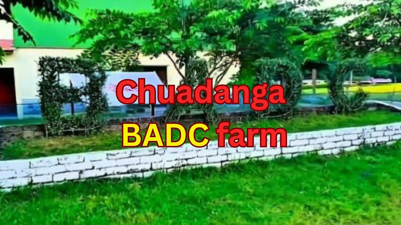 Chuadanga BADC Farm | Chuadanga Agriculture Development | Full Area View