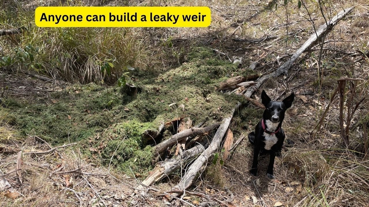 Creating a leaky weir