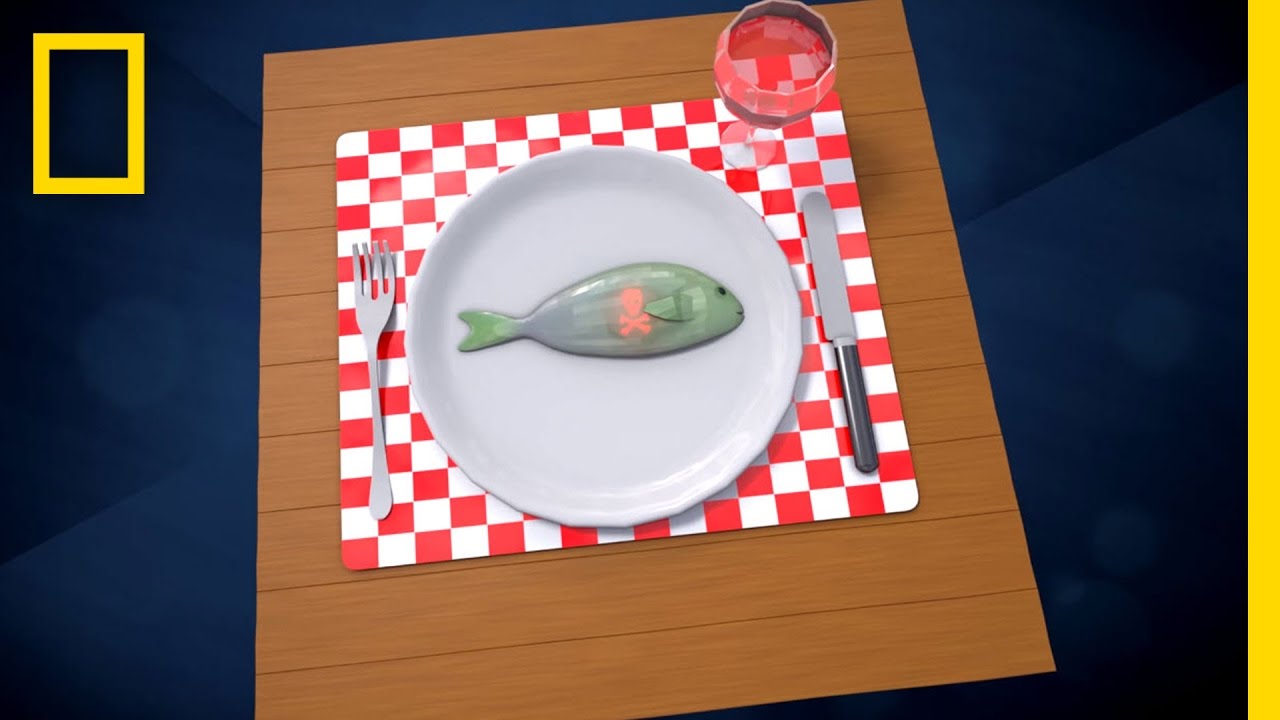 Are You Eating Plastic for Dinner? | Short Film Showcase