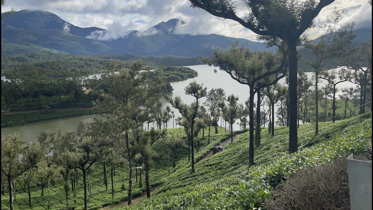 Munnar in Monsoon, What I have seen, heard and felt!