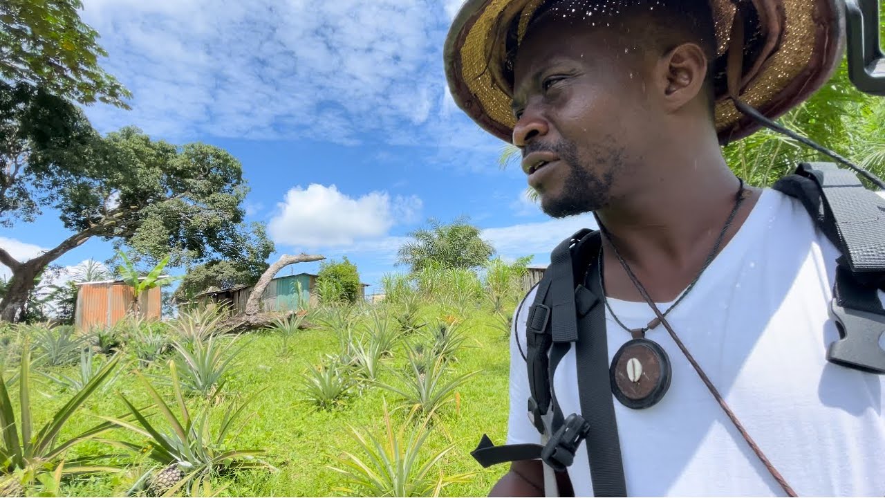 Gabon 🇬🇦: Bakumba détient l’un des trésors de ce pays ! (2ème partie)