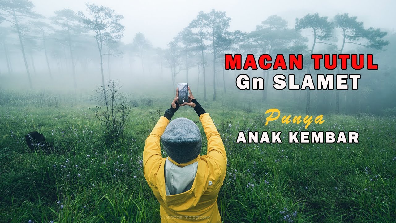 𝘼𝙡𝙝𝙖𝙢𝙙𝙪𝙡𝙞𝙡𝙡𝙖𝙝 𝙈𝘼𝘾𝘼𝙉 𝙏𝙐𝙏𝙐𝙇 𝙂𝙪𝙣𝙪𝙣𝙜 𝙎𝙇𝘼𝙈𝙀𝙏 𝙋𝙪𝙣𝙮𝙖 2 𝘼𝙣𝙖𝙠 [ 𝙥𝙚𝙣𝙚𝙡𝙪𝙨𝙪𝙧𝙖𝙣 ]