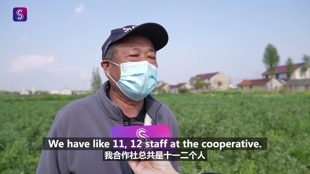 Fengxian farmers minimize loss of delayed spring ploughing