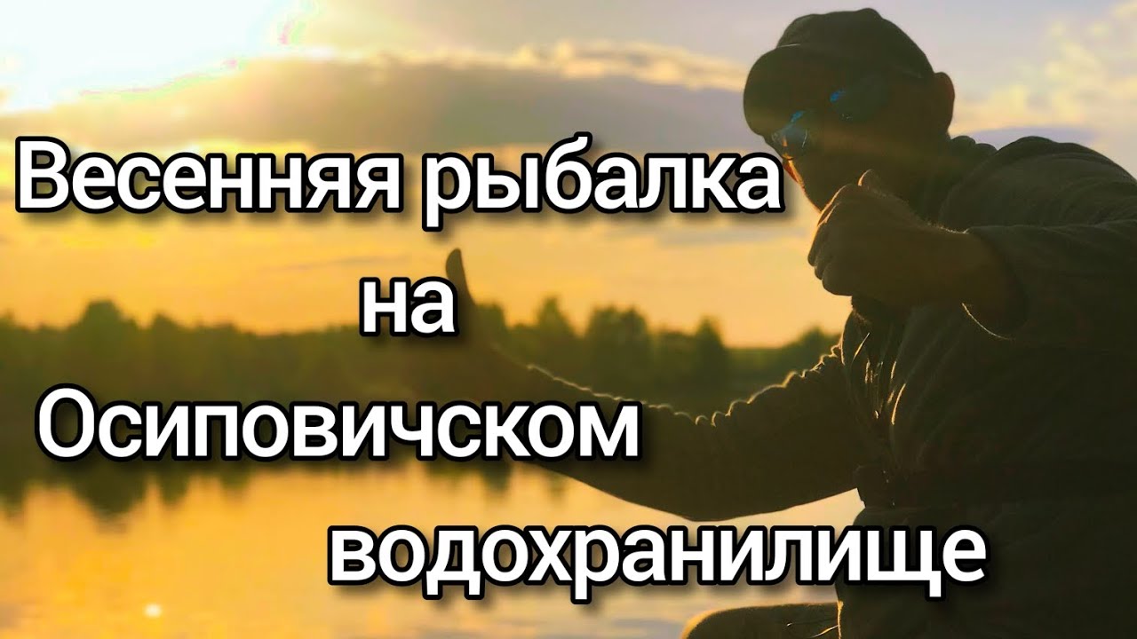Весенняя рыбалка на Осиповичском водохранилище. Ловля на фидер с обеда и до вечера