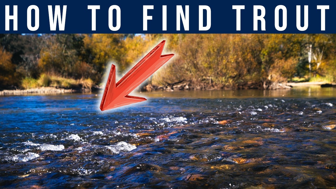 3 Keys to Finding Trout in Any River (Fly Fishing Guide)