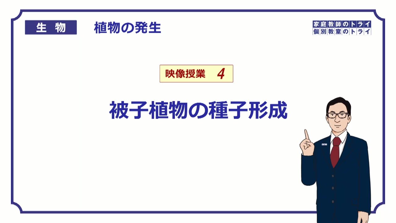 【高校生物】　植物の発生4　被子植物の種子形成（２１分）
