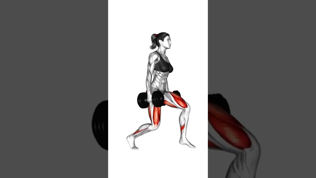 Unterk&ouml;rper Training NUR mit Kurzhanteln - Beintraining #beintraining