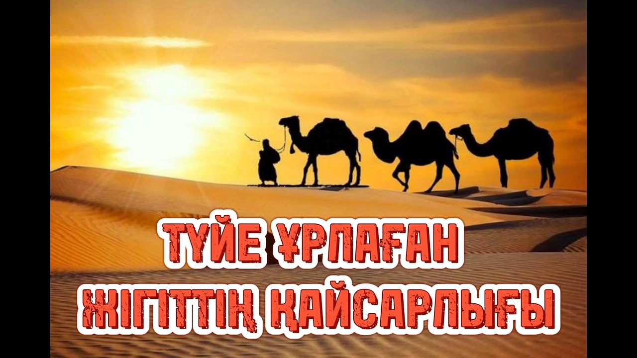 ТҮЙЕ ҰРЛАҒАН ЖІГІТТІҢ ҚАЙСАРЛЫҒЫ. #әңгіме #аудиокітап #оқиға