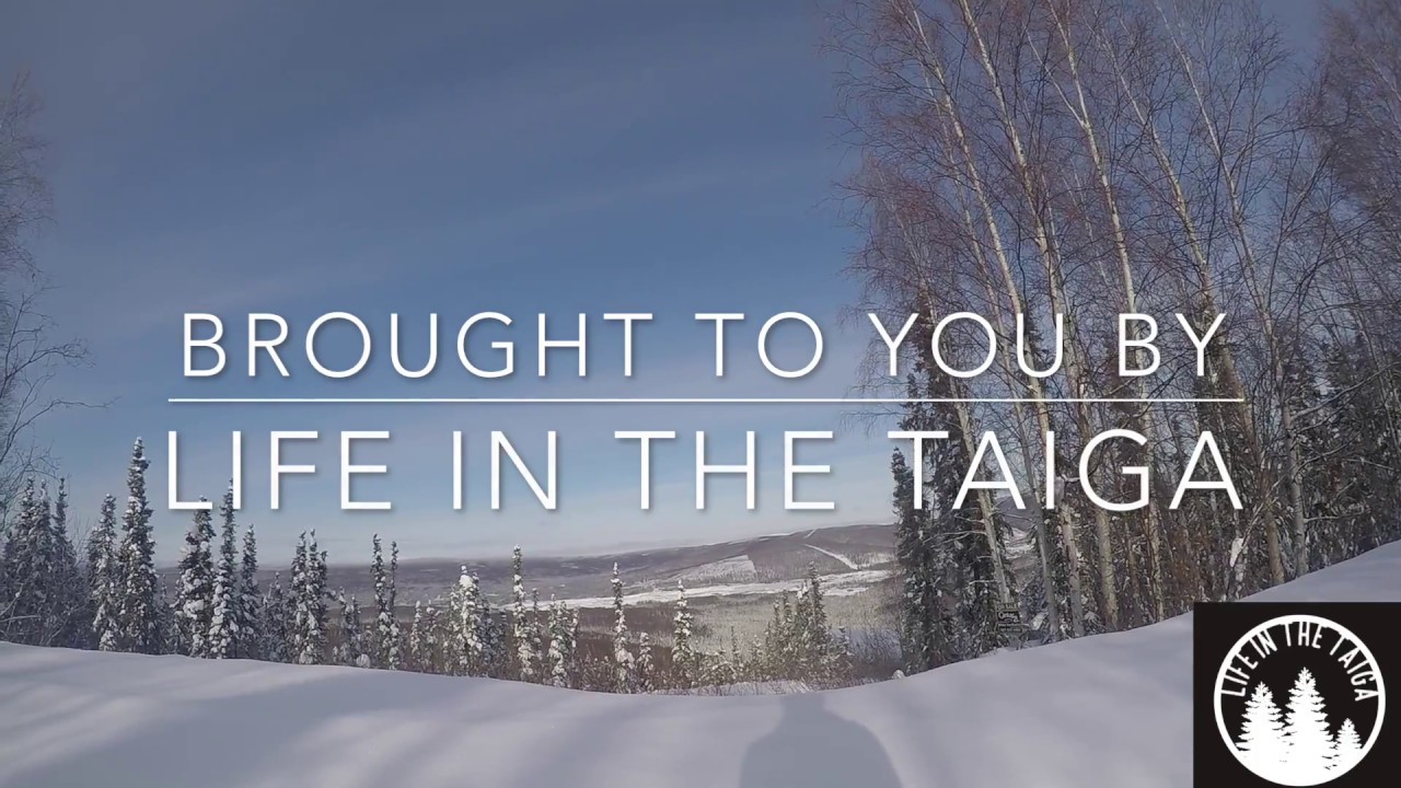 Our Top Three Non-Knice EDC Items (Featuring Life in the Taiga)