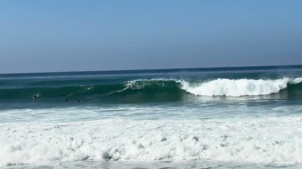 Surfing San Diego February 7th 2026