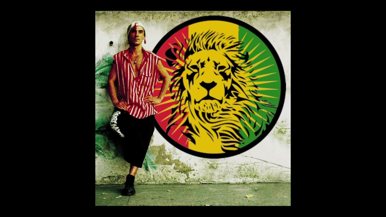 Manu Chao - Bongo Bong (Wandrin' Beats Reggae Dub Remix)