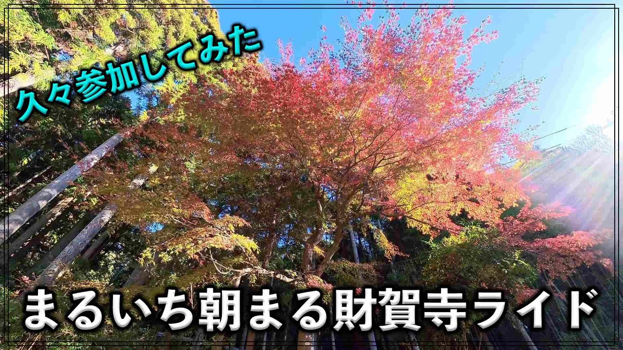 まるいち朝まる財賀寺ライド
