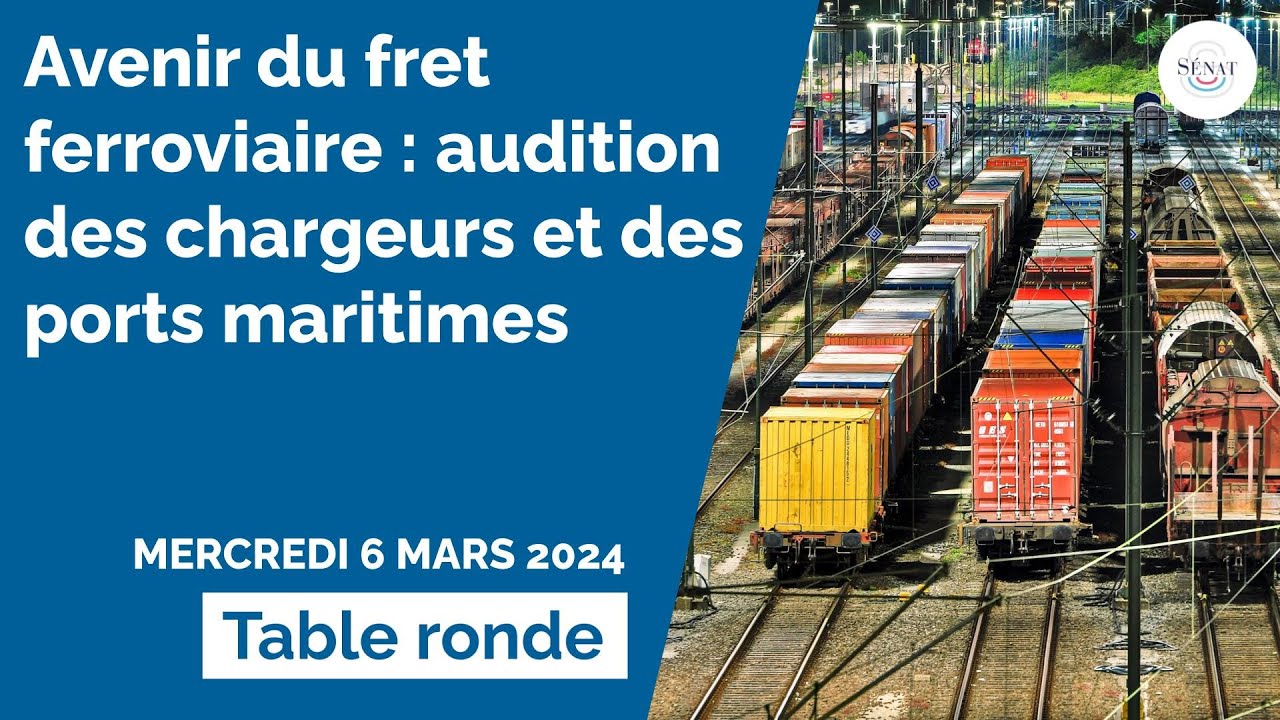 Avenir du fret ferroviaire : audition des chargeurs et des ports maritimes