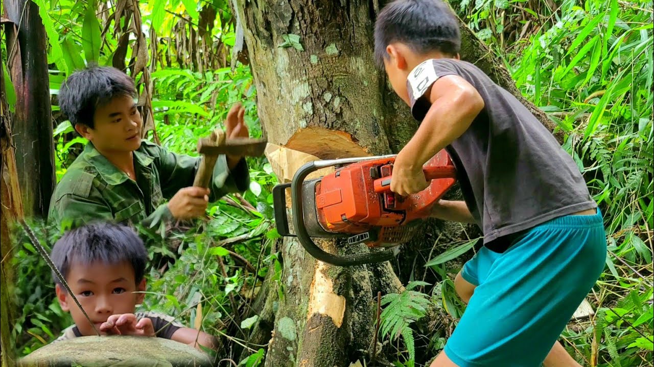 Thanh Goes To School. Chau And Quang Go Chop Trees But They Are Too Big | Orphans Boys Daily Life