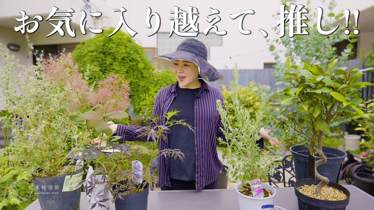 【この時期ぜひ手に入れてほしい！】推しツリー６選♪