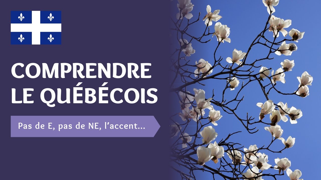 5 CHOSES POUR COMPRENDRE LE QUÉBÉCOIS - Intermediate Quebec French with Subtitles | Frenchpresso