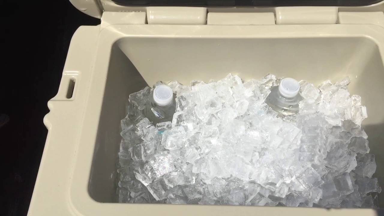 20 qt Orca Cooler Vs. Yeti Roadie