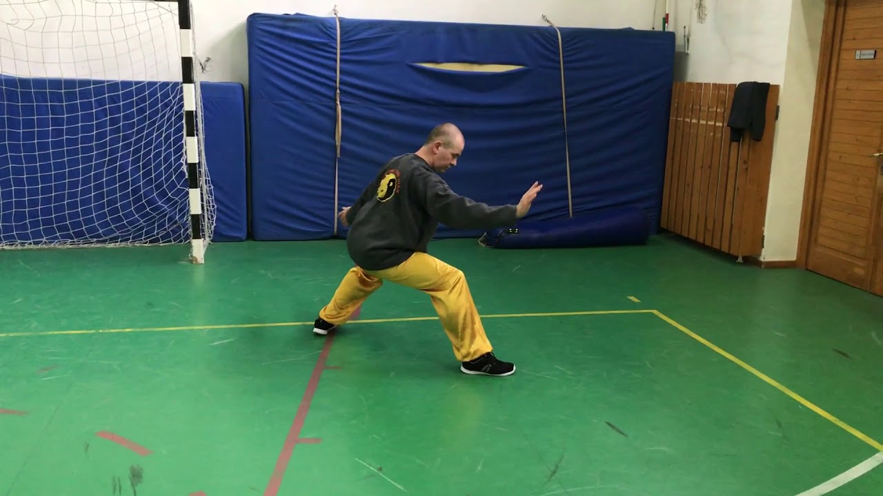 chen shi xinyi hunyuan 24 step form