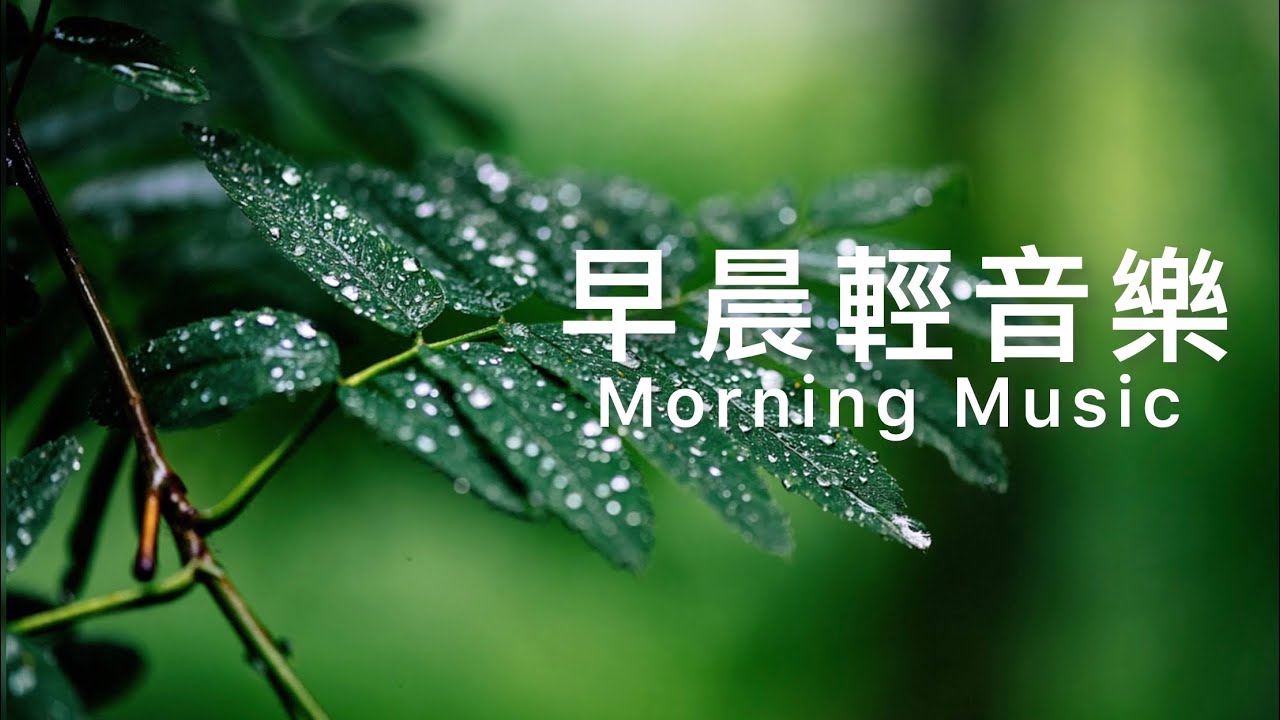 早晨輕音樂Morning Music | 樹梢枝葉搖曳, 小雨輕輕灑落, 春天的腳步近了 | #relaxing  #restmusic   #afternoonmusic