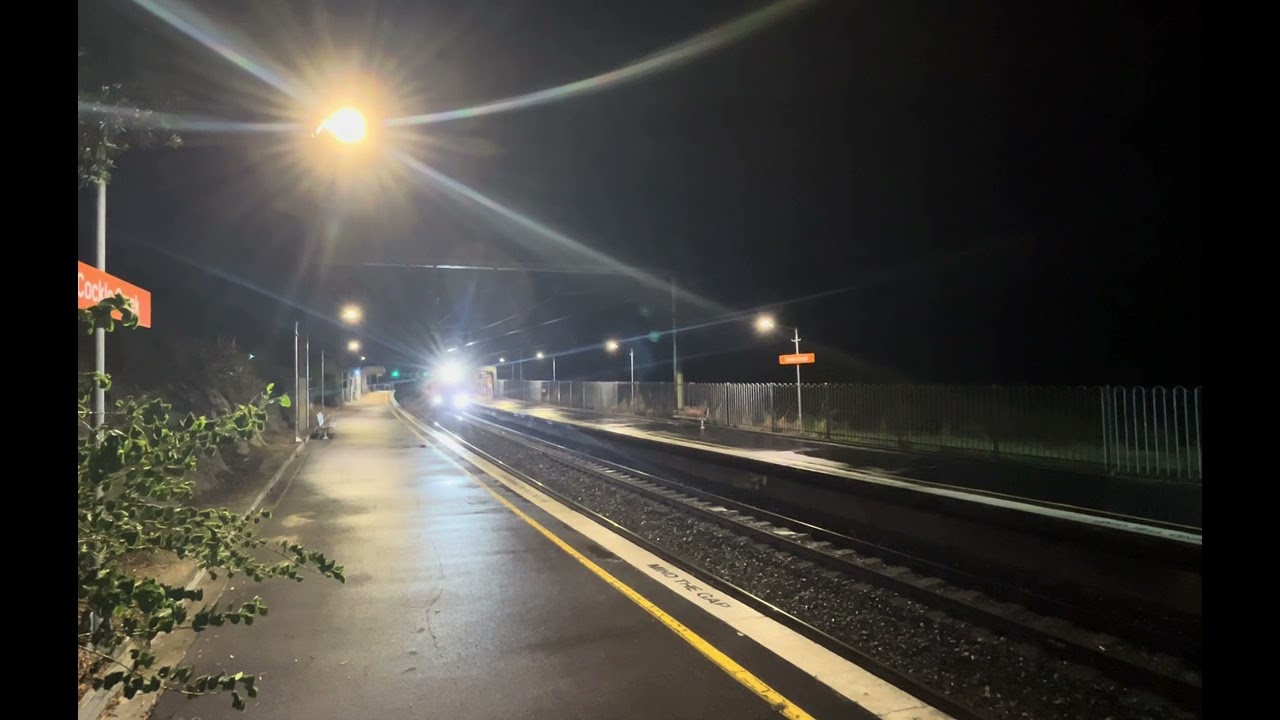Cockle creek