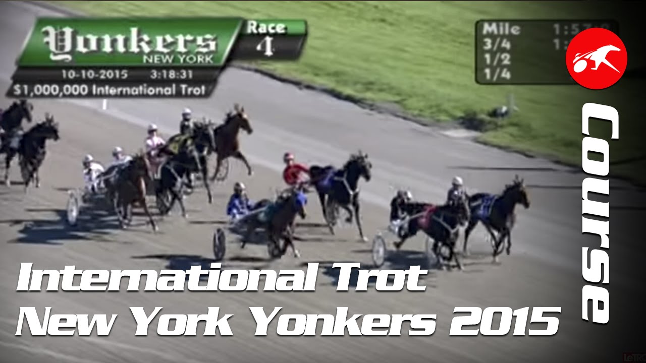 International Trot 2015 avec Timoko - La course à Yonkers