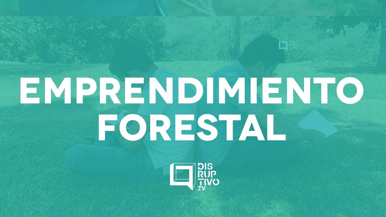 Emprendimiento para el sector forestal y maderero
