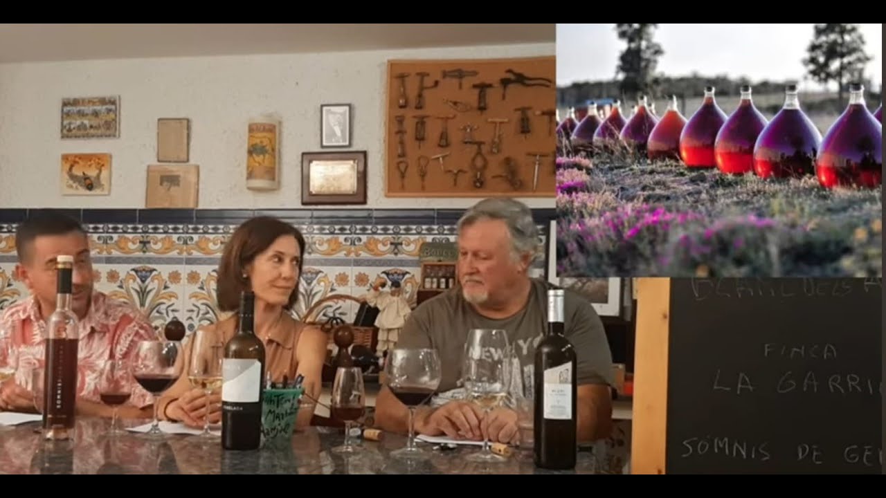 205 - DO Empord&agrave;/Ampurd&aacute;n. Entre la monta&ntilde;a y el mar.