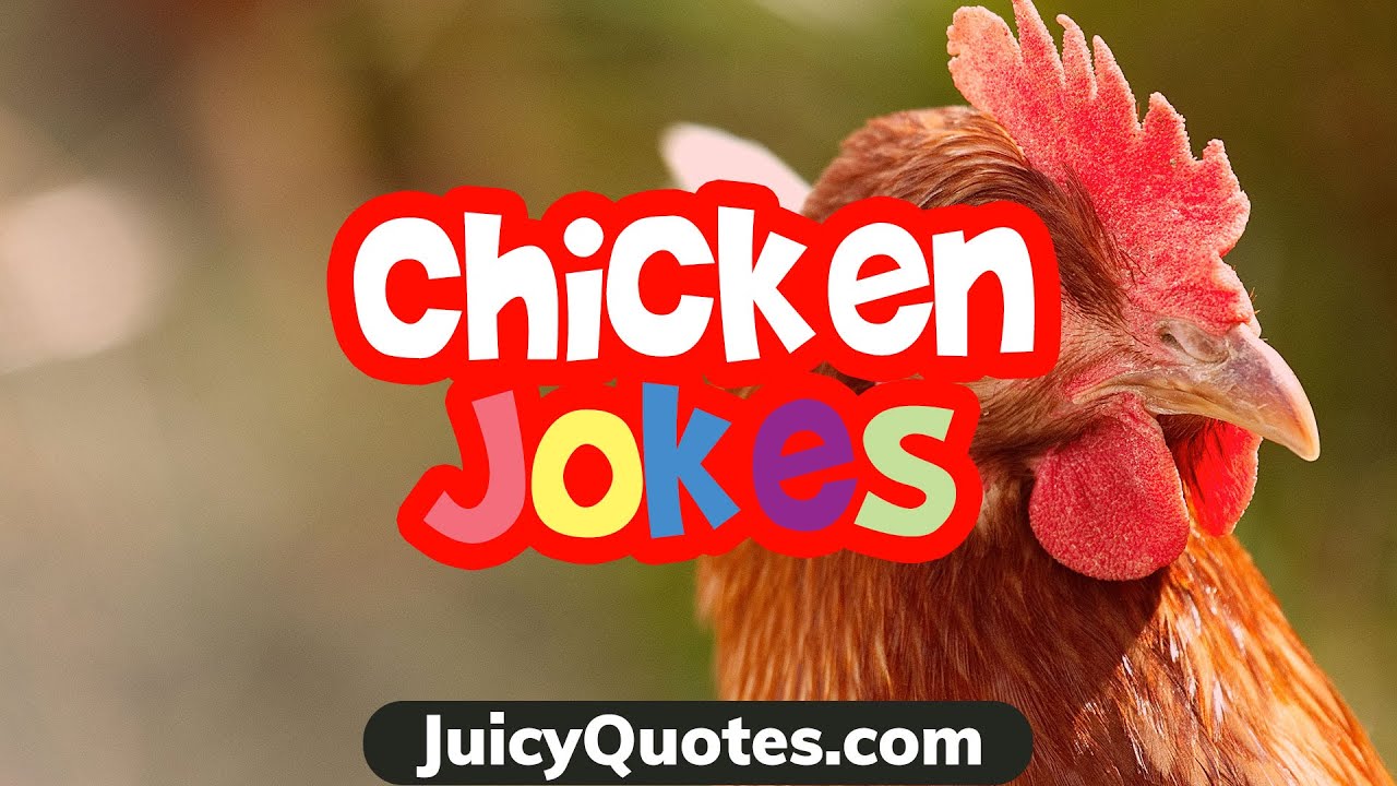 Funny Chicken Jokes and Puns - To Entertain You