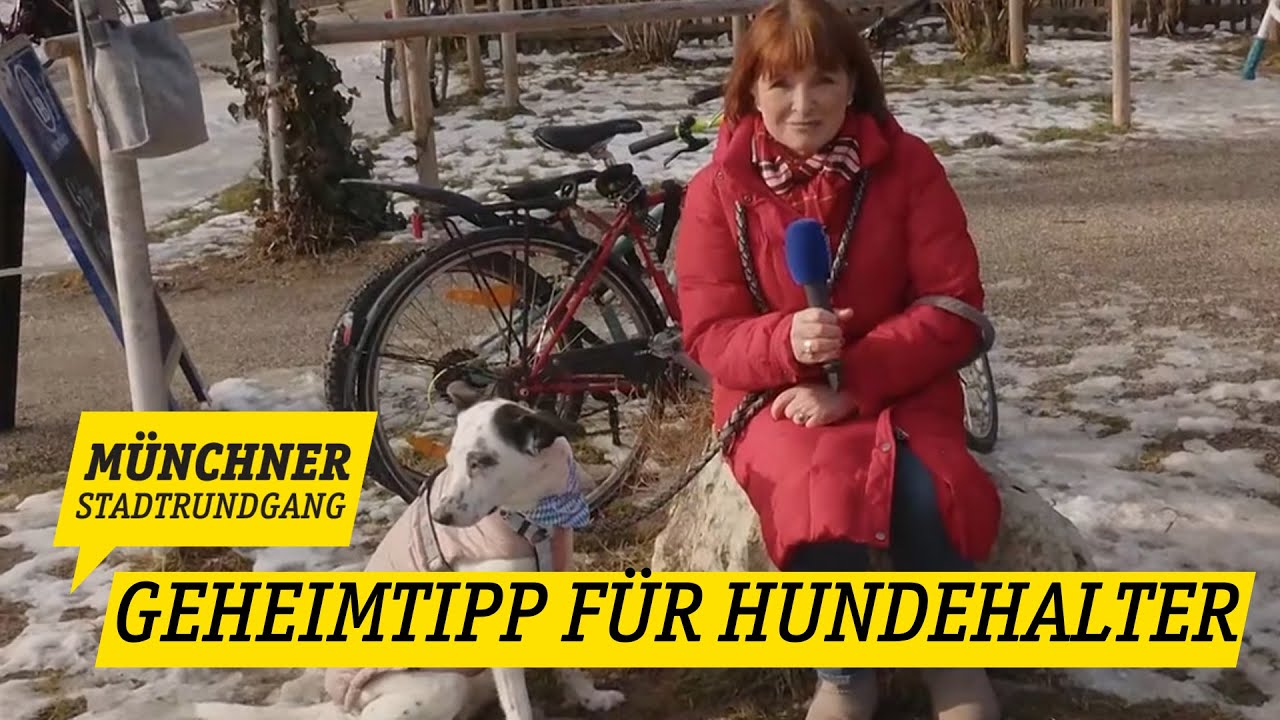 Münchner Stadtrundgang vom 6.02.2026