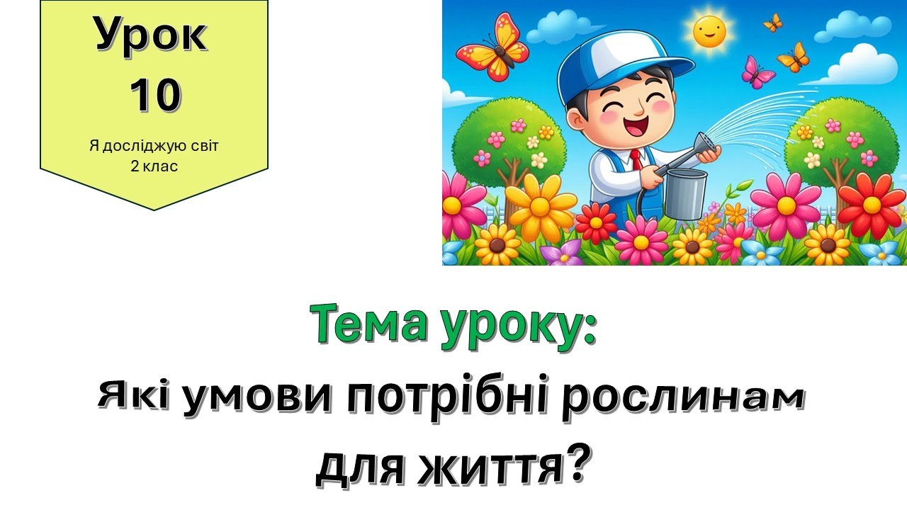 Які умови потрібні рослинам для життя. Я досліджую світ 2 клас.