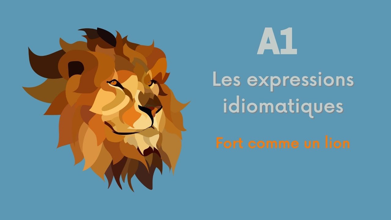Les expressions idiomatiques liées aux animaux: Je suis... comme... (A1)