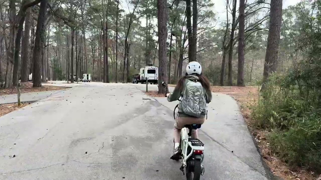 Martin Dies Jr State Park, Jasper TX, Feb 2026.