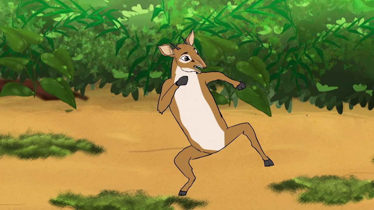 You can measure his height, not the size of his heart - Jabu's Jungle Zulu 26 Dik Dik