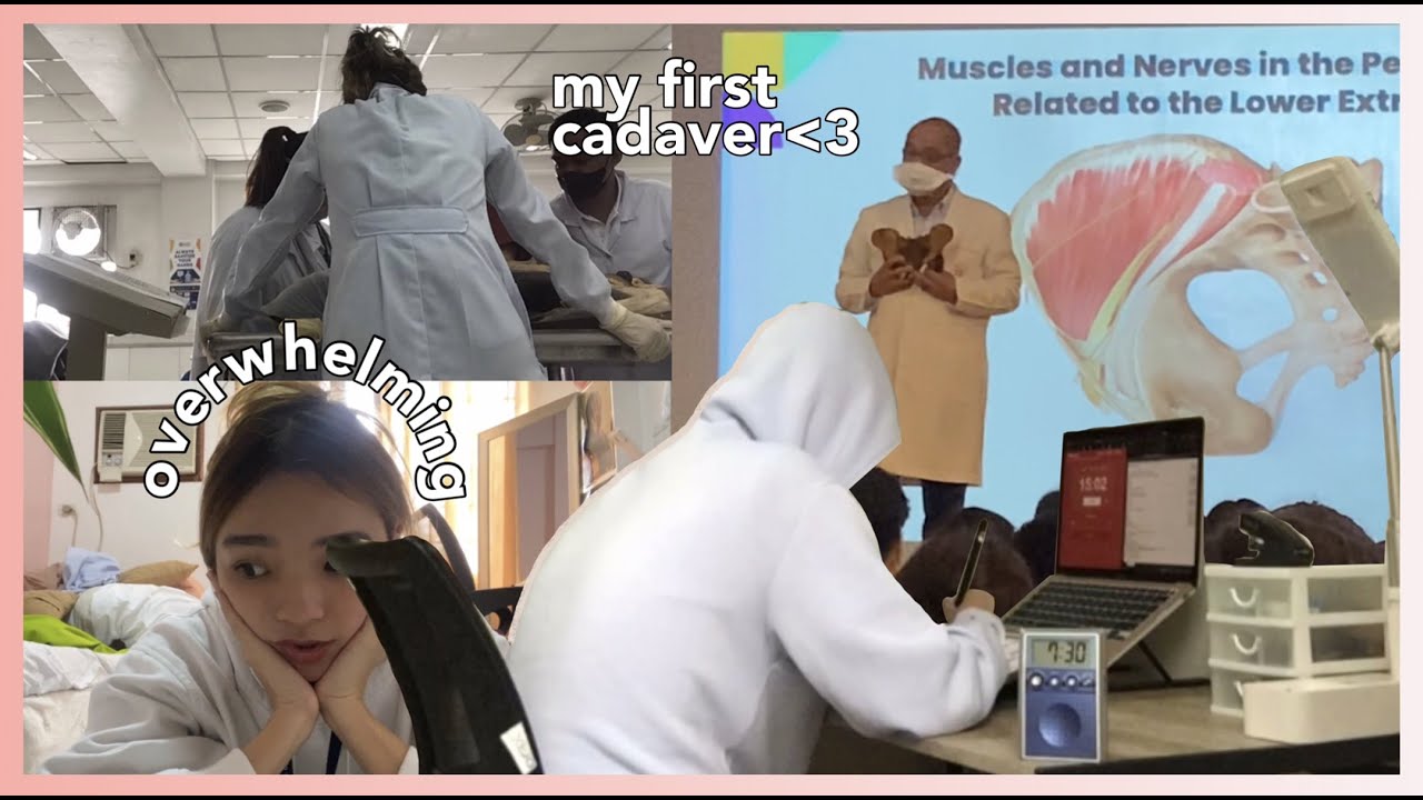 med school vlog: my first week of f2f classes || st. luke's college of medicine